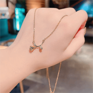 ¡Uy! Collar Rosita Brilla